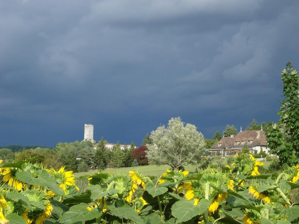 Вілла D'Est En Ouest Montcuq Номер фото